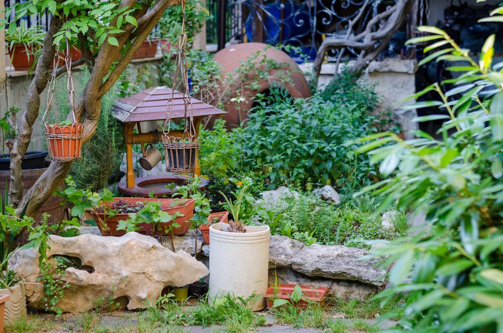 Kalypso Hotel Πριμόρσκο Εξωτερικό φωτογραφία